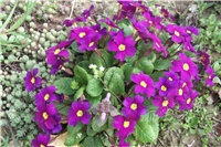 9d199aa3-Picture 021.jpg